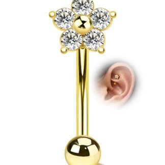 COCHARM Dainty Flower Rook Earring - Cute 16g 6mm 8mm Rook Piercing Jewelry 316L Surgical Steel Rook Bar - lunas-mystic-emporium.com COCHARM Dainty Flower Rook Earring - Cute 16g 6mm 8mm Rook Piercing Jewelry 316L Surgical Steel Rook Bar