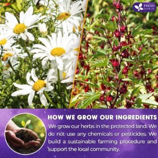 Refreshing Mint Herbal 60 Tea Bags – Special Blend Of Spearmint and Peppermint with Chamomile, and Top Herbal Ingredients for Digestive Comfort & Relaxation, Caffeine-Free,...