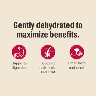 The Honest Kitchen Human Grade Wholemade™ Dehydrated Whole Grain Dog Food - Complete Balanced Meal or Topper - Chicken 4 lb Box - lunas-mystic-emporium.com The Honest Kitchen Human Grade Wholemade™ Dehydrated Whole Grain Dog Food - Complete & Balanced Meal or Topper - Chicken 4 lb Box