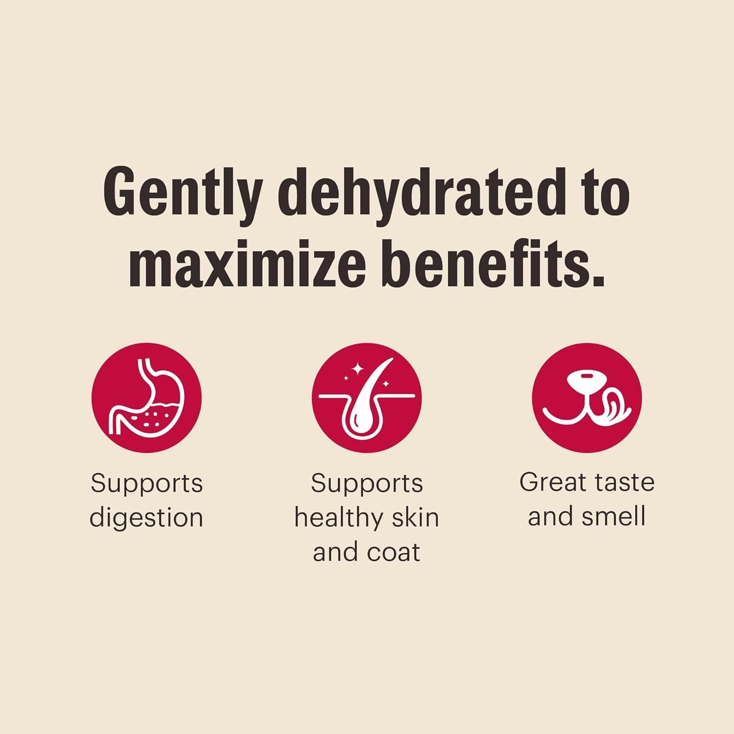 The Honest Kitchen Human Grade Wholemade™ Dehydrated Whole Grain Dog Food - Complete Balanced Meal or Topper - Chicken 4 lb Box - lunas-mystic-emporium.com The Honest Kitchen Human Grade Wholemade™ Dehydrated Whole Grain Dog Food - Complete & Balanced Meal or Topper - Chicken 4 lb Box