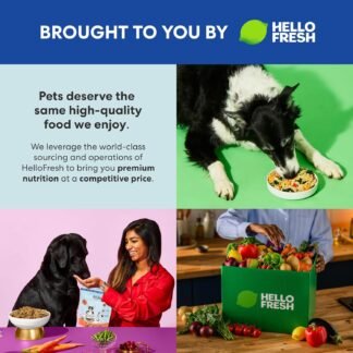 The Pets Table Beef & Berries Grain-Free Air Dried Dog Food, 1 lb (16 Oz) Bag