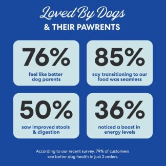 The Pets Table Beef & Berries Grain-Free Air Dried Dog Food, 1 lb (16 Oz) Bag