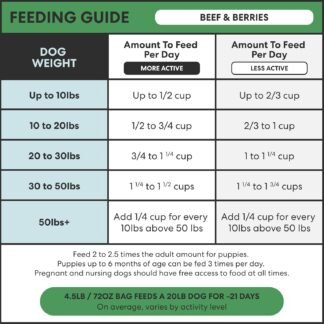 The Pets Table Beef & Berries Grain-Free Air Dried Dog Food, 1 lb (16 Oz) Bag